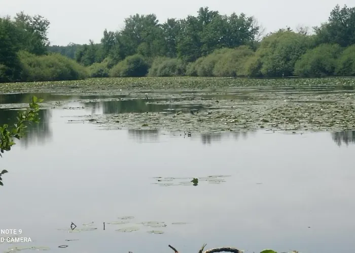 Maison De Ferme Au Calme Jusqu'a 10 Personnes Вилла Gannay-sur-Loire